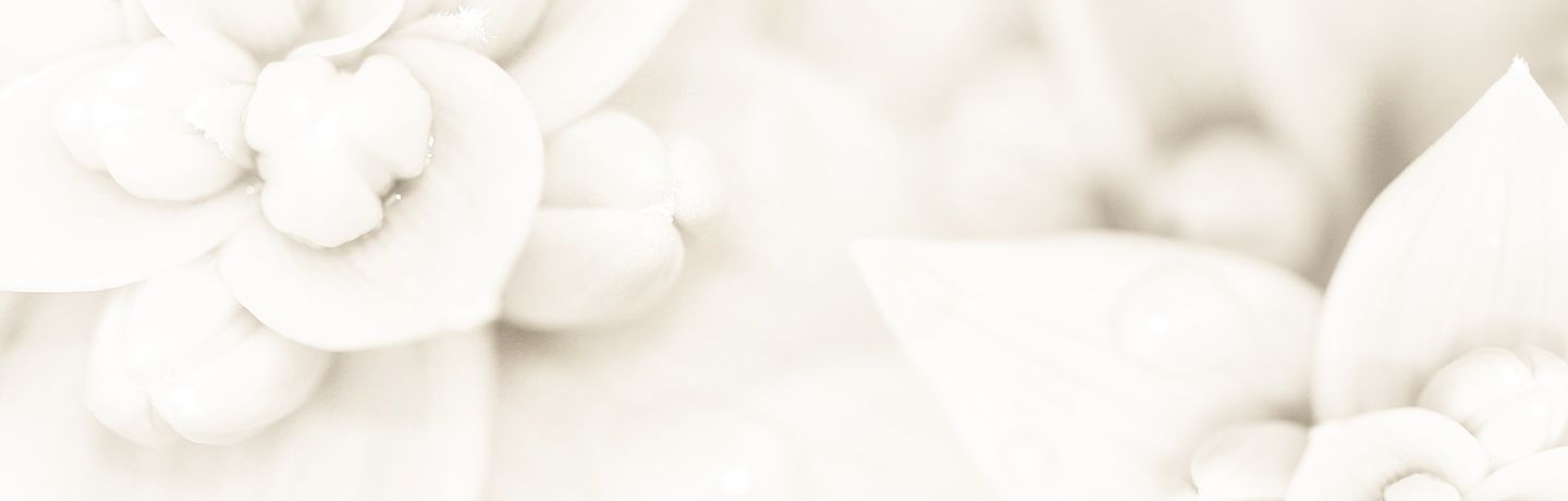 CENTRO DE PSICOLOGÍA Y TERAPIAS PRAEMIUM